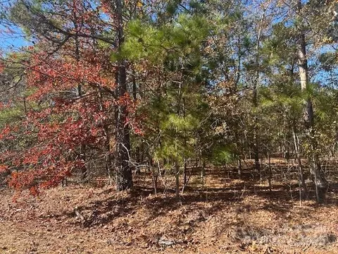 1060 Neds Creek Rd, Kershaw, SC 29009