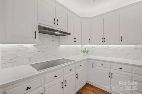 13307 Robert Walker Dr, Davidson, NC 28036 photo 14