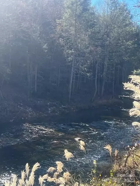 Bend View Drive, Marshall, NC 28753 photo 5