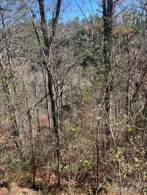 Bend View Drive, Marshall, NC 28753 photo 10