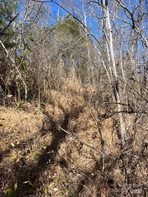 Bend View Drive, Marshall, NC 28753 photo 8
