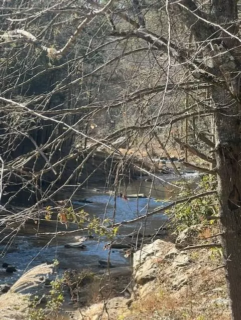 Bend View Drive, Marshall, NC 28753 photo 4