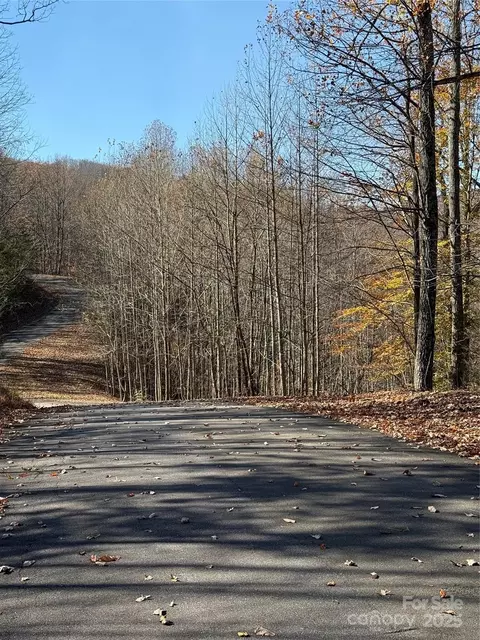 Black Lark Drive, Marion, NC 28752