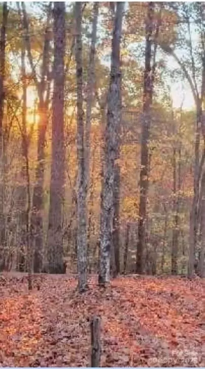 Trellis 117 Drive #117, Marion, NC 28761