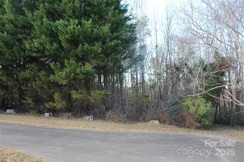 1761 Dearborn Street Ext, Morganton, NC 28655 photo 34