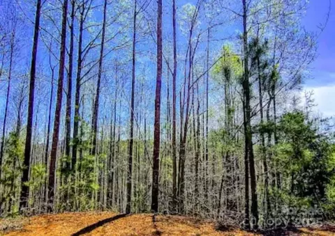 153 Westridge Dr, Bostic, NC 28018