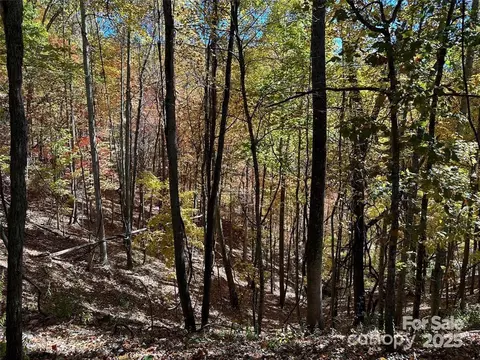 5 Hidden Valley Rd, Clyde, NC 28721 photo 11