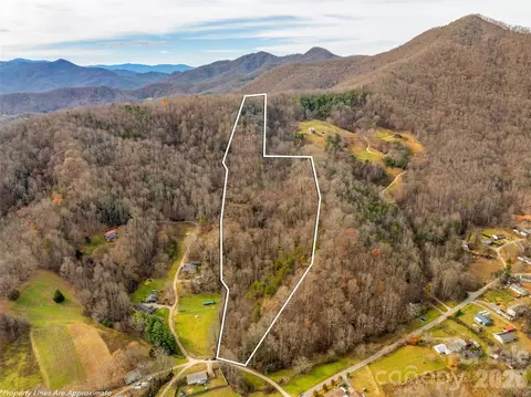 99999 Bay Horse Trl, Candler, NC 28715