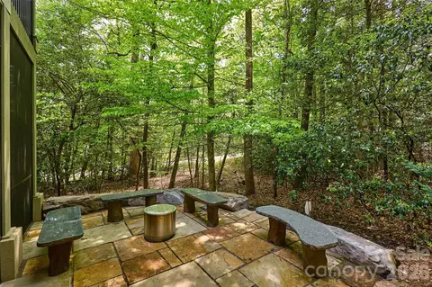 Exterior - 249 Pine Mountain Trl, Brevard, NC 28712 photo 9 of 9