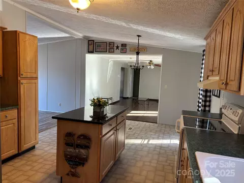 930 Dc Johnson Rd, Marion, NC 28752 photo 13