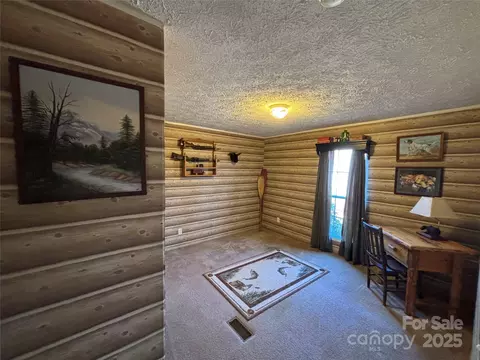 930 Dc Johnson Rd, Marion, NC 28752 photo 32