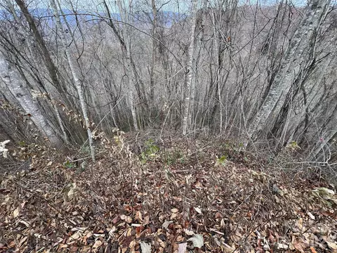 Deer Ridge Road, Bryson City, NC 28713