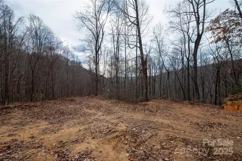 Grapevine Road, Marshall, NC 28753 photo 15