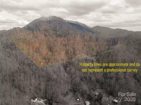 Grapevine Road, Marshall, NC 28753