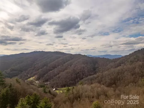 Grapevine Road, Marshall, NC 28753 photo 5