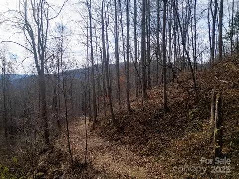 Grapevine Road, Marshall, NC 28753 photo 9