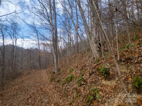 Grapevine Road, Marshall, NC 28753 photo 7