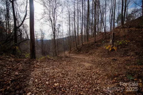 Grapevine Road, Marshall, NC 28753 photo 8