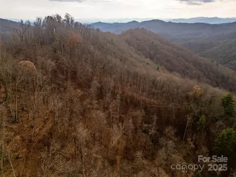 Grapevine Road, Marshall, NC 28753 photo 6