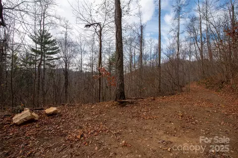 Grapevine Road, Marshall, NC 28753 photo 20