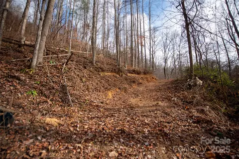 Grapevine Road, Marshall, NC 28753 photo 25