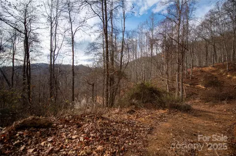 Grapevine Road, Marshall, NC 28753 photo 24