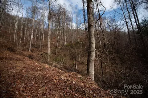 Grapevine Road, Marshall, NC 28753 photo 26