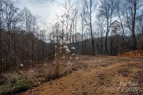 Grapevine Road, Marshall, NC 28753 photo 16
