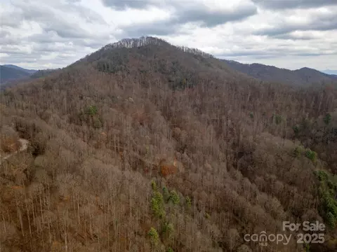 Grapevine Road, Marshall, NC 28753 photo 4