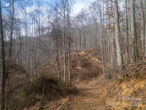 Grapevine Road, Marshall, NC 28753 photo 27