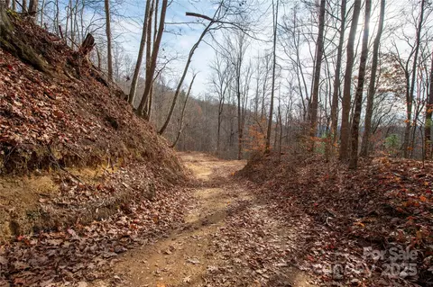 Grapevine Road, Marshall, NC 28753 photo 13