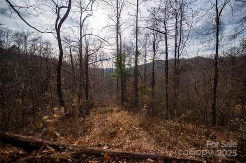 Grapevine Road, Marshall, NC 28753 photo 23