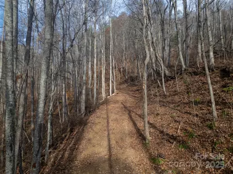 Grapevine Road, Marshall, NC 28753 photo 19