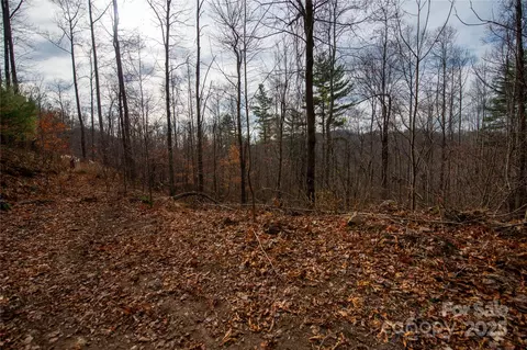 Grapevine Road, Marshall, NC 28753 photo 21
