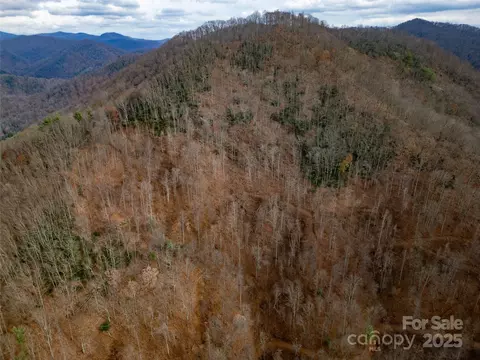 Grapevine Road, Marshall, NC 28753 photo 2