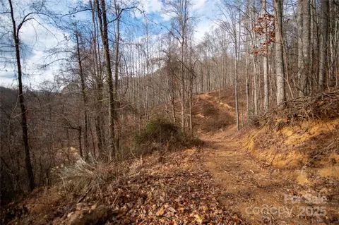 Grapevine Road, Marshall, NC 28753 photo 22
