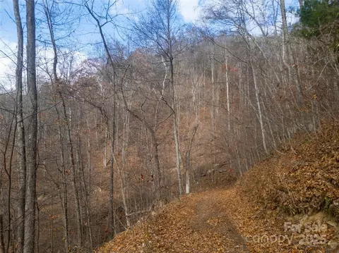 Grapevine Road, Marshall, NC 28753 photo 18