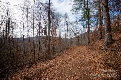 Grapevine Road, Marshall, NC 28753 photo 10