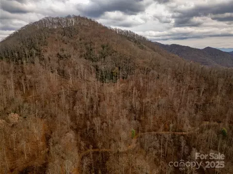 Grapevine Road, Marshall, NC 28753 photo 3