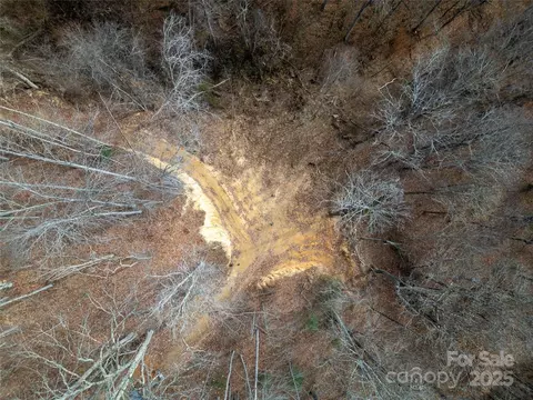 Grapevine Road, Marshall, NC 28753 photo 11