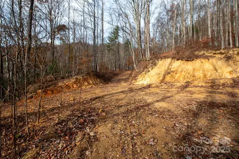 Grapevine Road, Marshall, NC 28753 photo 17