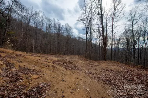 Grapevine Road, Marshall, NC 28753 photo 14