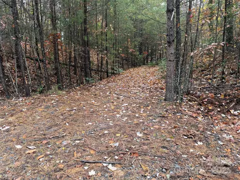 18 Wolf Pen Road #18, Purlear, NC 28665 photo 10
