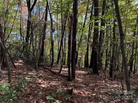 18 Wolf Pen Road #18, Purlear, NC 28665 photo 6