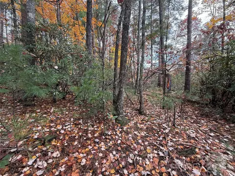 18 Wolf Pen Road #18, Purlear, NC 28665 photo 9
