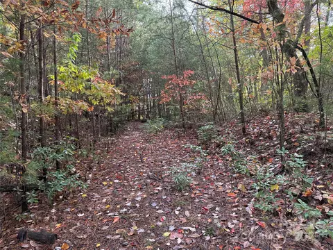 18 Wolf Pen Road #18, Purlear, NC 28665 photo 5