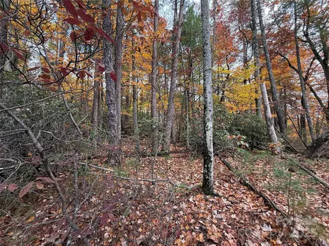 18 Wolf Pen Road #18, Purlear, NC 28665 photo 8