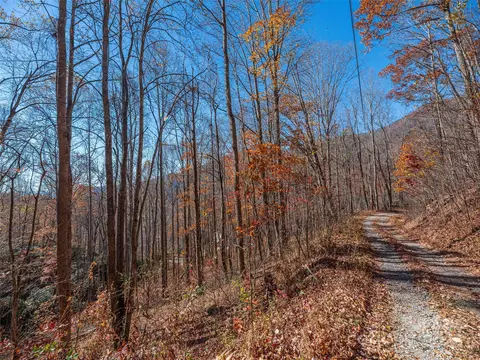 Grouse Road, Clyde, NC 28721 photo 4