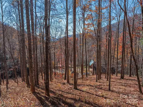 Grouse Road, Clyde, NC 28721 photo 6