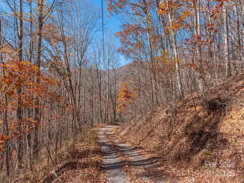 Grouse Road, Clyde, NC 28721 photo 3